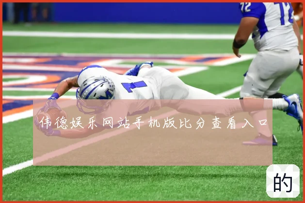 伟德娱乐网站手机版比分查看入口