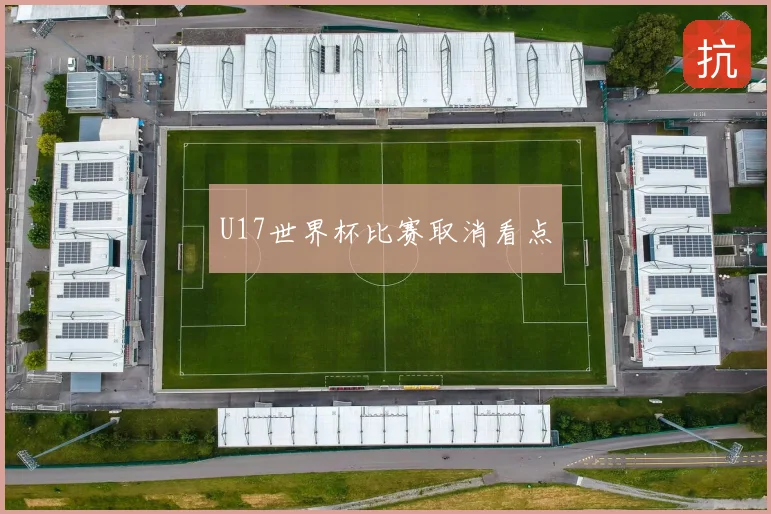 U17世界杯比赛取消看点